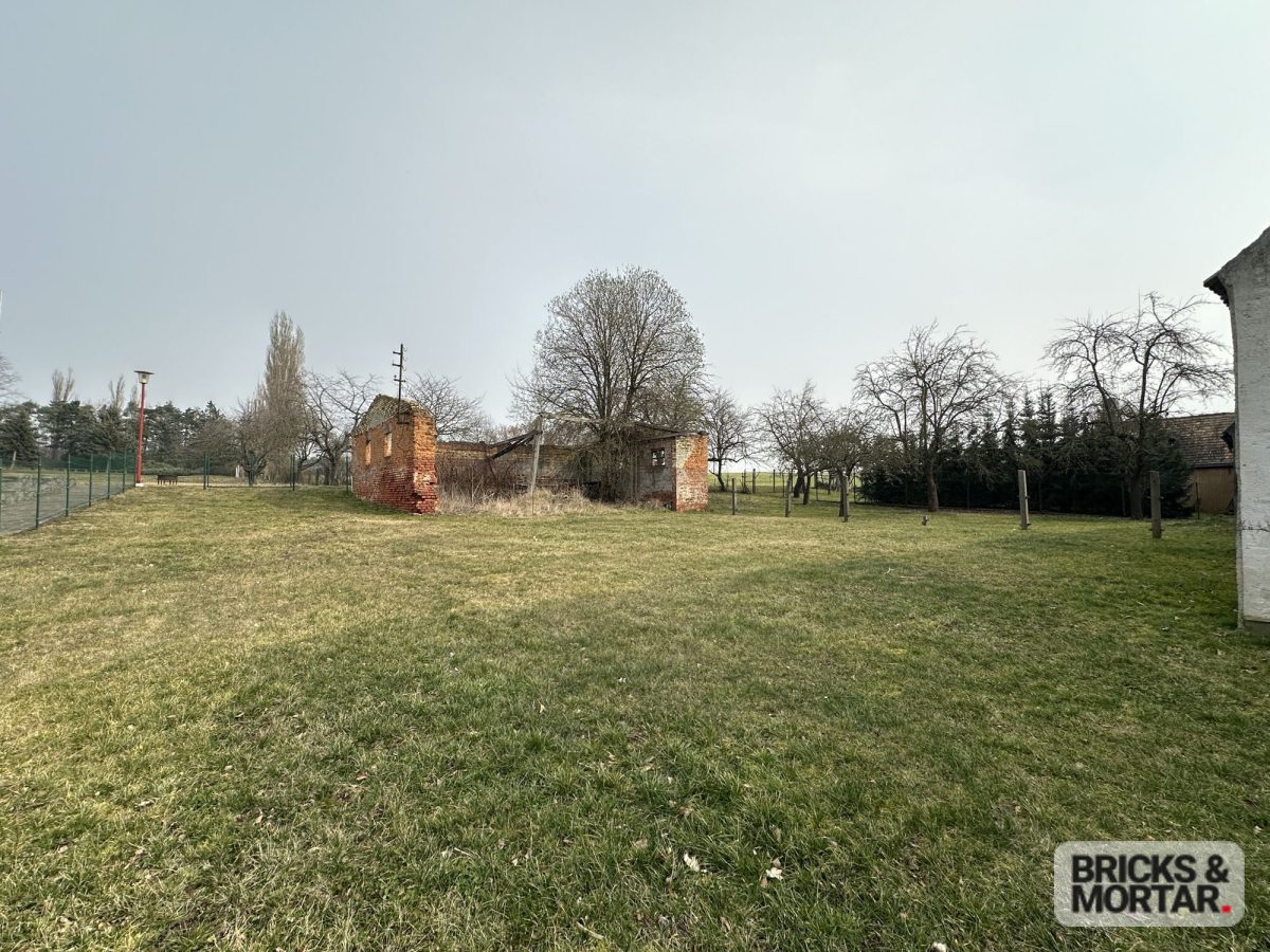 Immobilienangebot - Liebschützberg / Klötitz - Alle - Top für Familien & Generationen: 2 Wohneinheiten, 7 Zimmer, großer Garten & vieles mehr!