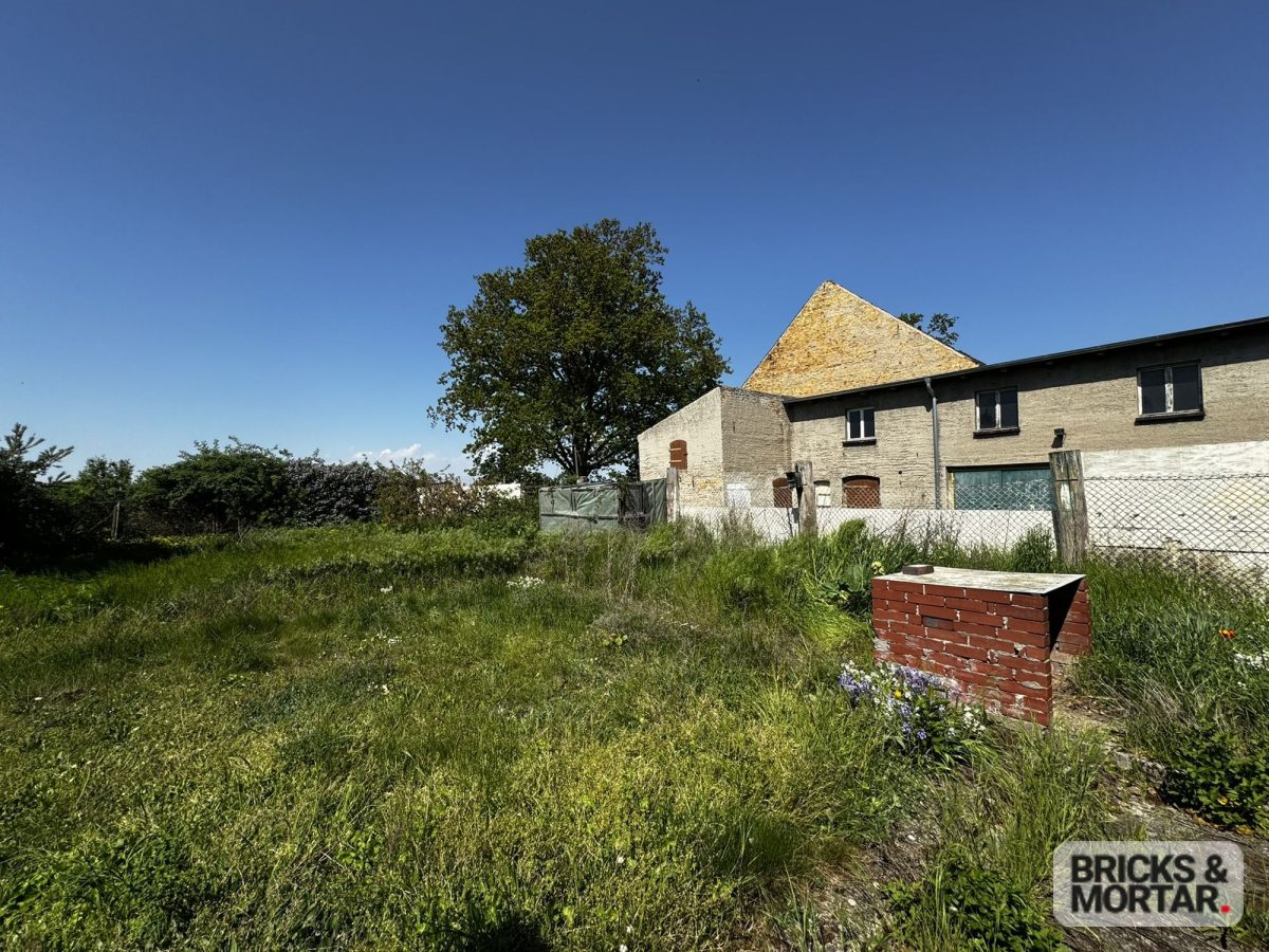 Immobilienangebot - Delitzsch / Laue - Alle - Viel Platz für Ideen – Ihr neues Zuhause mit großem Garten und Potenzial in Delitzsch.