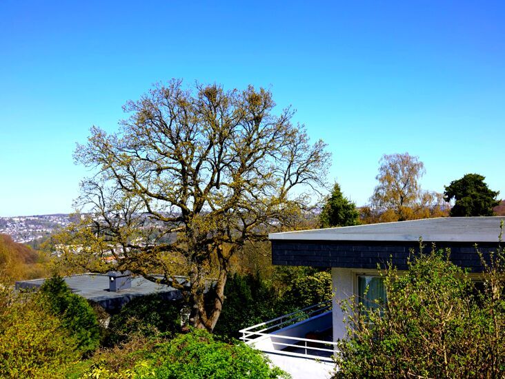 Immobilienangebot - Wuppertal - Alle - +++ BRIMO |  Architektenvilla in Bestlage mit spektakulärem Weitblick über Wuppertal +++