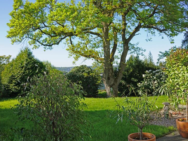 Immobilienangebot - Wuppertal - Alle - +++ BRIMO |  Architektenvilla in Bestlage mit spektakulärem Weitblick über Wuppertal +++