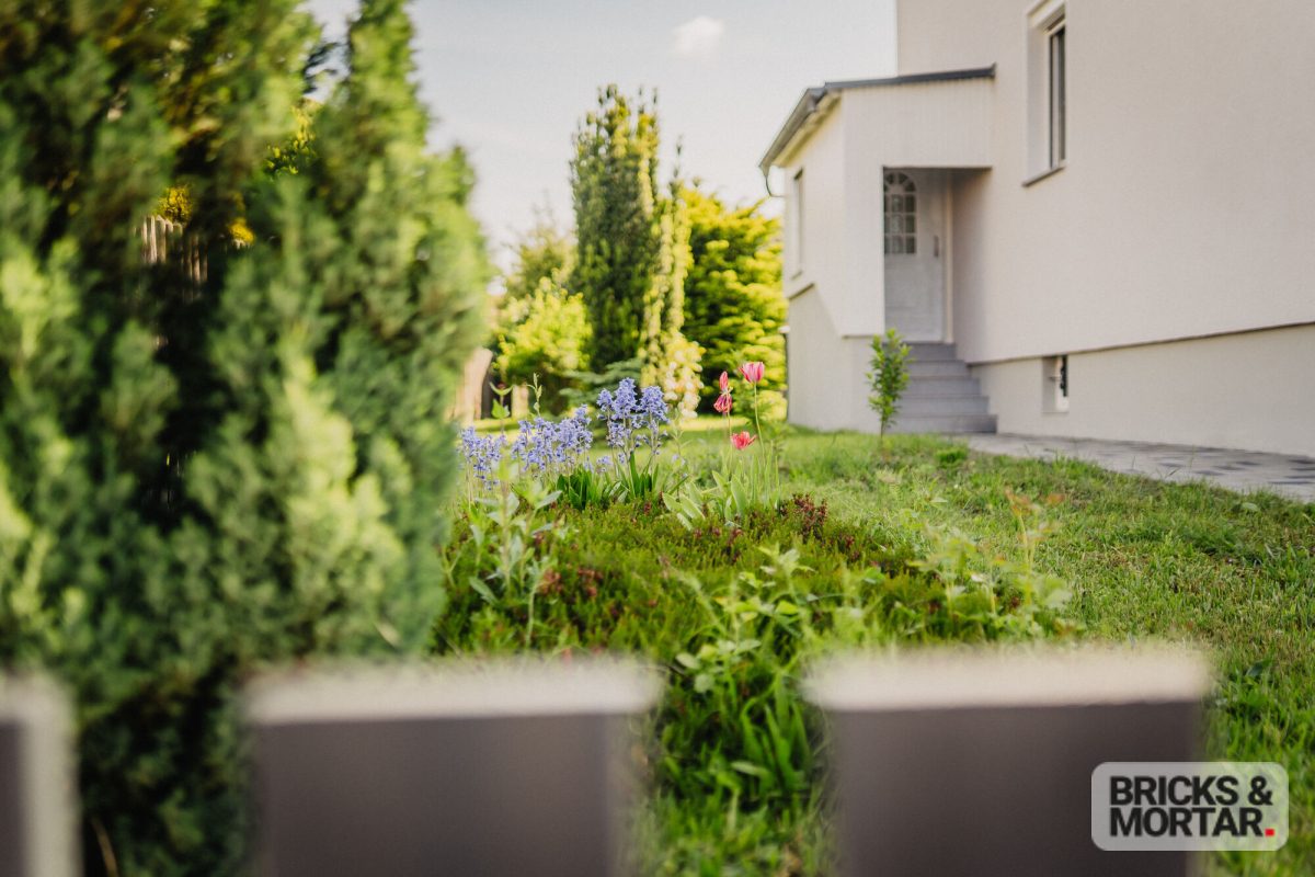 Immobilienangebot - Borsdorf / Panitzsch - Alle - Modernisiert mit Liebe zum Detail - Einfamilienhaus auf 1.000 m² Grundstück
