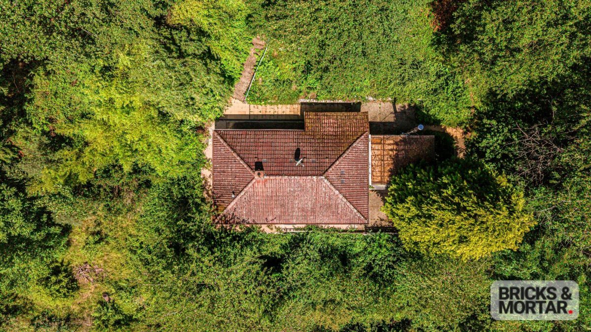 Immobilienangebot - Altdorf / Unterrieden - Alle - Wohnen am Waldrand – Besonderes Einfamilienhaus in Unterrieden