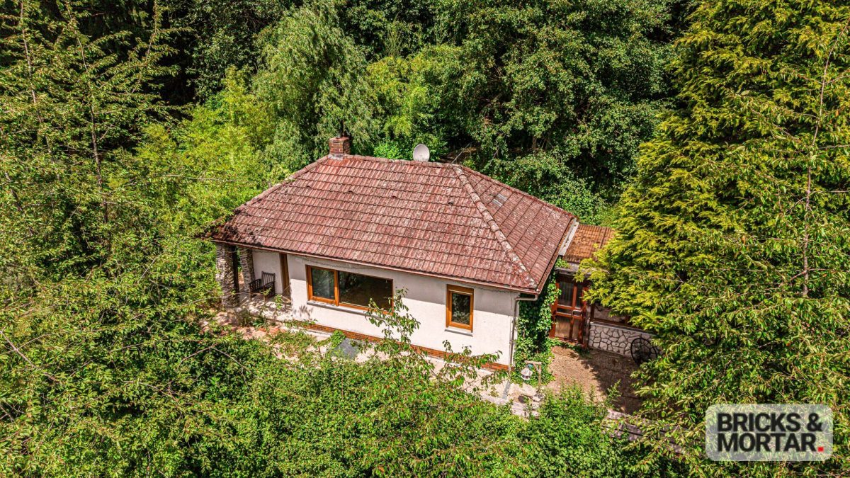 Immobilienangebot - Altdorf / Unterrieden - Alle - Wohnen am Waldrand – Besonderes Einfamilienhaus in Unterrieden