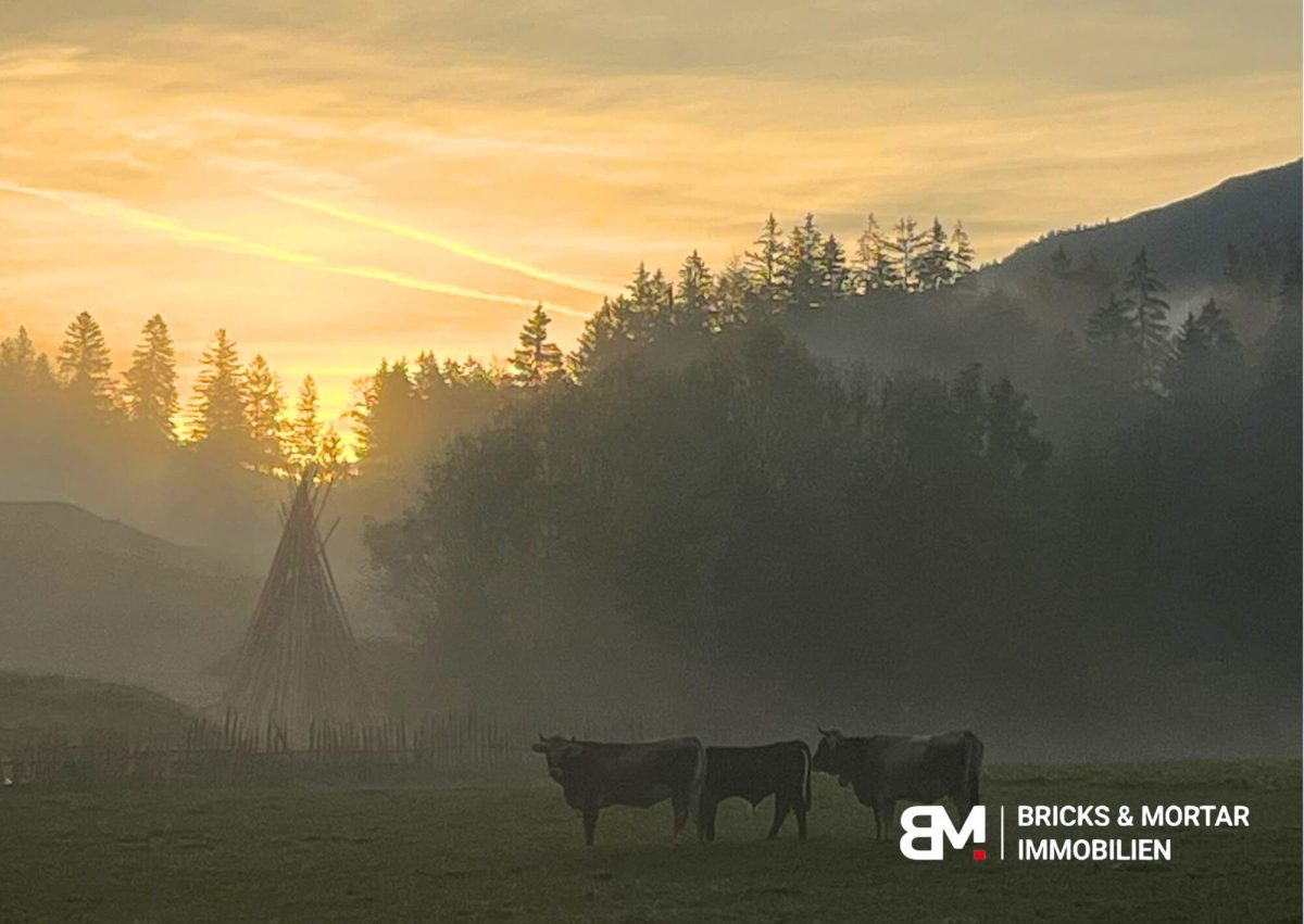 Immobilienangebot - Schliersee - Grundstücke - BRIMO: Leben, wo Andere Urlaub machen!
