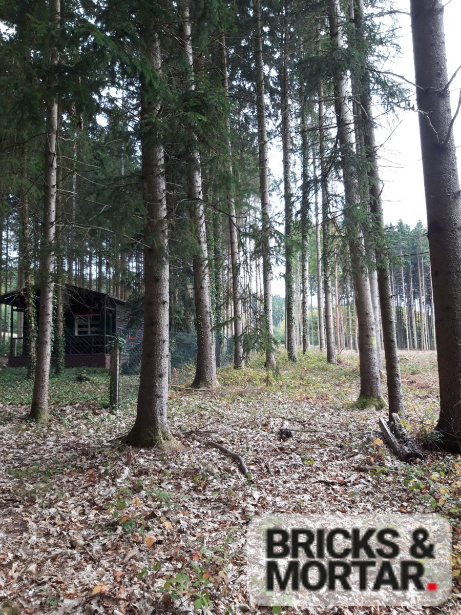 Immobilienangebot - Aichach / Untergriesbach - Grundstücke - Waldgrundstück mit ca. 3.419 m², vielseitigem Baumbestand und eigener Hütte in Untergriesbach