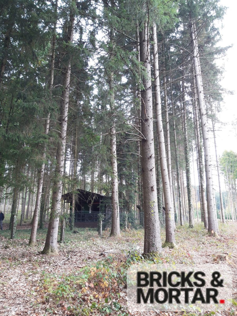 Immobilienangebot - Aichach / Untergriesbach - Grundstücke - Waldgrundstück mit ca. 3.419 m², vielseitigem Baumbestand und eigener Hütte in Untergriesbach
