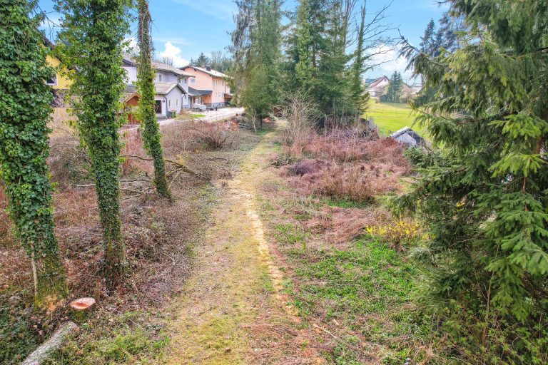 Immobilienangebot - Bürmoos - Alle - GRUNDSTÜCK MIT POTENZIAL IM GRÜNEN – IDEAL FÜR INDIVIDUELLE WOHNTRÄUME