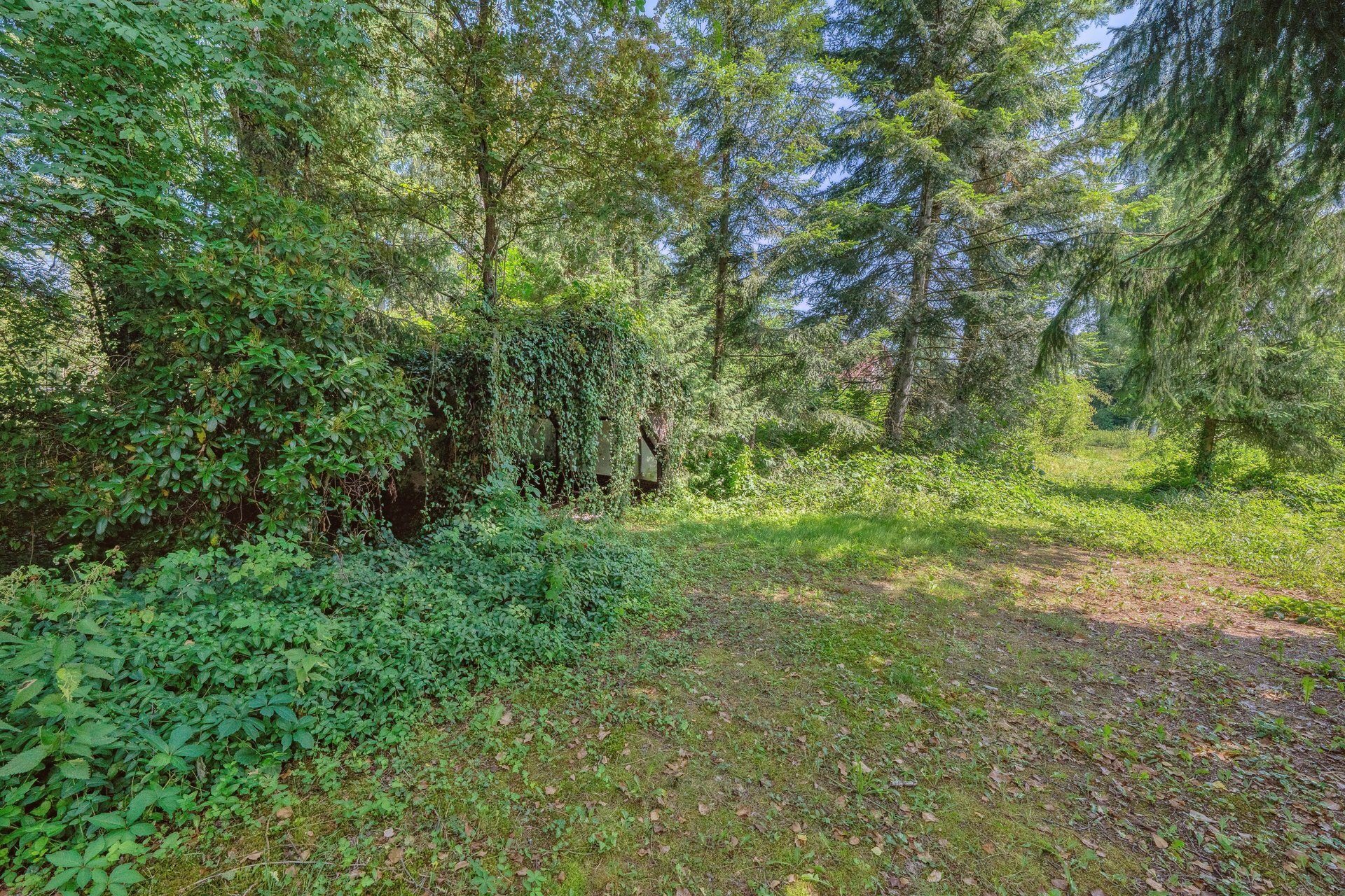 Immobilienangebot - Bürmoos - Alle - ENTWICKLUNG: GRUNDSTÜCK FÜR WOHNPROJEKTE IN RUHIGER LAGE VON BÜRMOOS