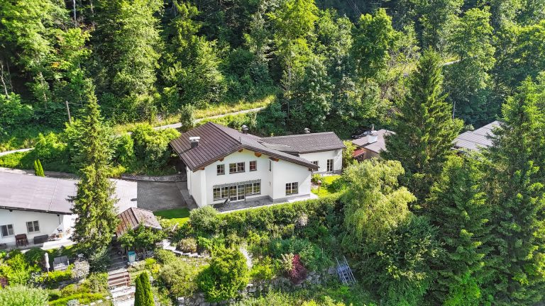 Immobilienangebot - Faistenau - Alle - TRAUMHAUS MIT BERGBLICK IN FAISTENAU