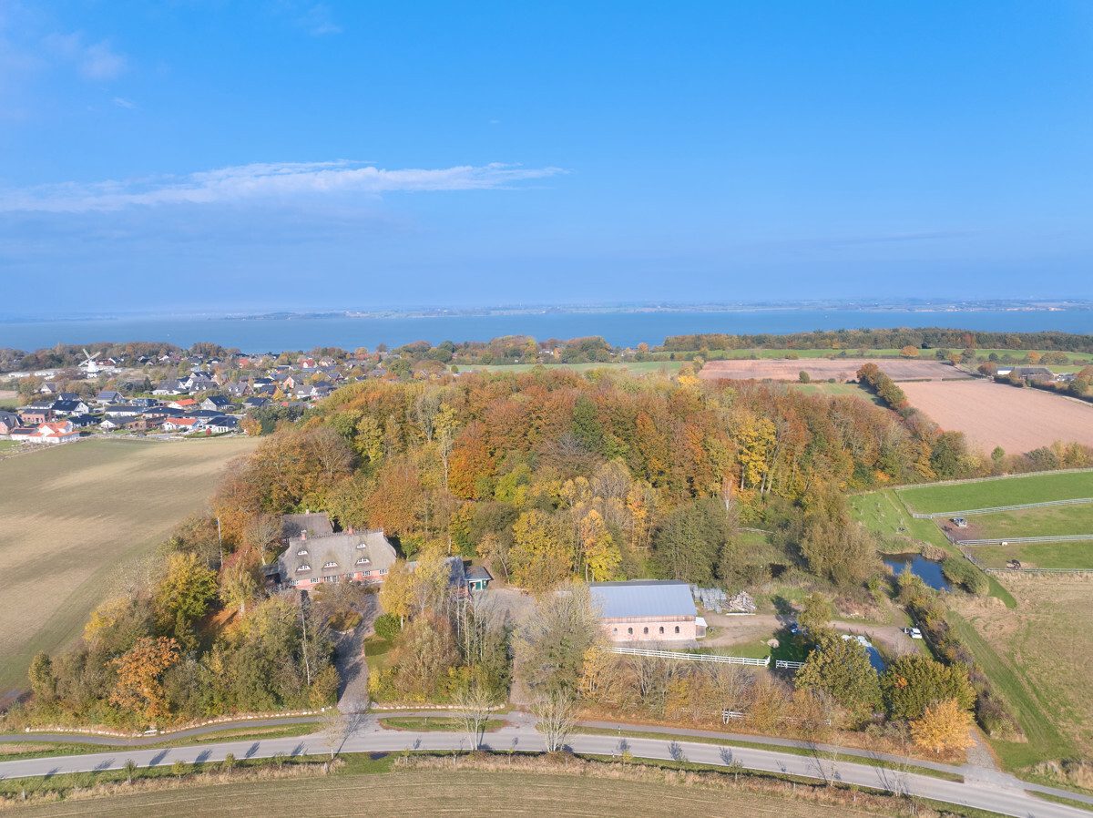 Immobilienangebot - Westerholz - Alle - Traumhaftes Anwesen in Wassernähe – Natur pur mit altem Baumbestand