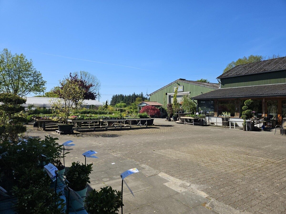 Immobilienangebot - Meyn - Gewerbe & Investment - Provisionsfrei für den Käufer!!
Pflanzencenter mit großem Potential bei Schafflund