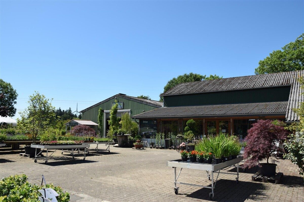 Immobilienangebot - Meyn - Gewerbe & Investment - Provisionsfrei für den Käufer!!
Pflanzencenter mit großem Potential bei Schafflund