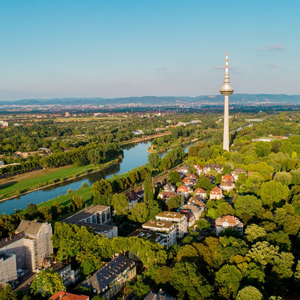 Mannheim Ausblick - Blogbeitrag