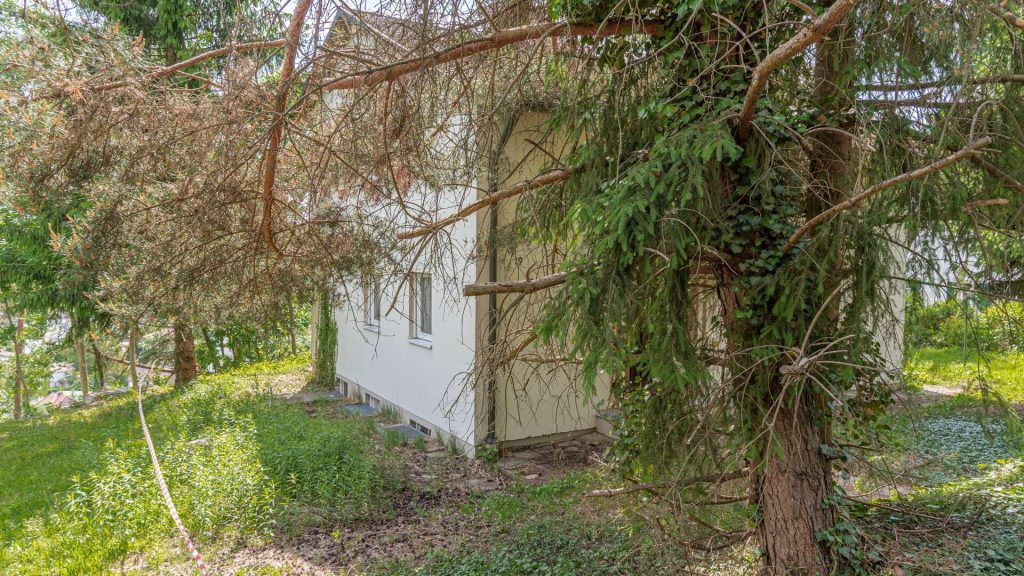 Immobilienangebot - Landshut - Alle - PROVISIONSFREI* - Sanierung oder Neuanfang? Einfamilienhaus mit Ausblick - Landshut-Achdorf/Englberg