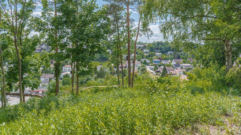 Immobilienangebot - Landshut - Alle - PROVISIONSFREI* - Sanierung oder Neuanfang? Einfamilienhaus mit Ausblick - Landshut-Achdorf/Englberg