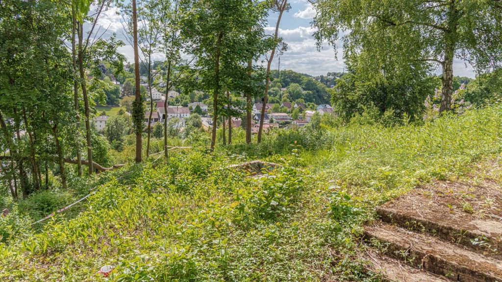 Immobilienangebot - Landshut - Alle - PROVISIONSFREI* - Sanierung oder Neuanfang? Einfamilienhaus mit Ausblick - Landshut-Achdorf/Englberg
