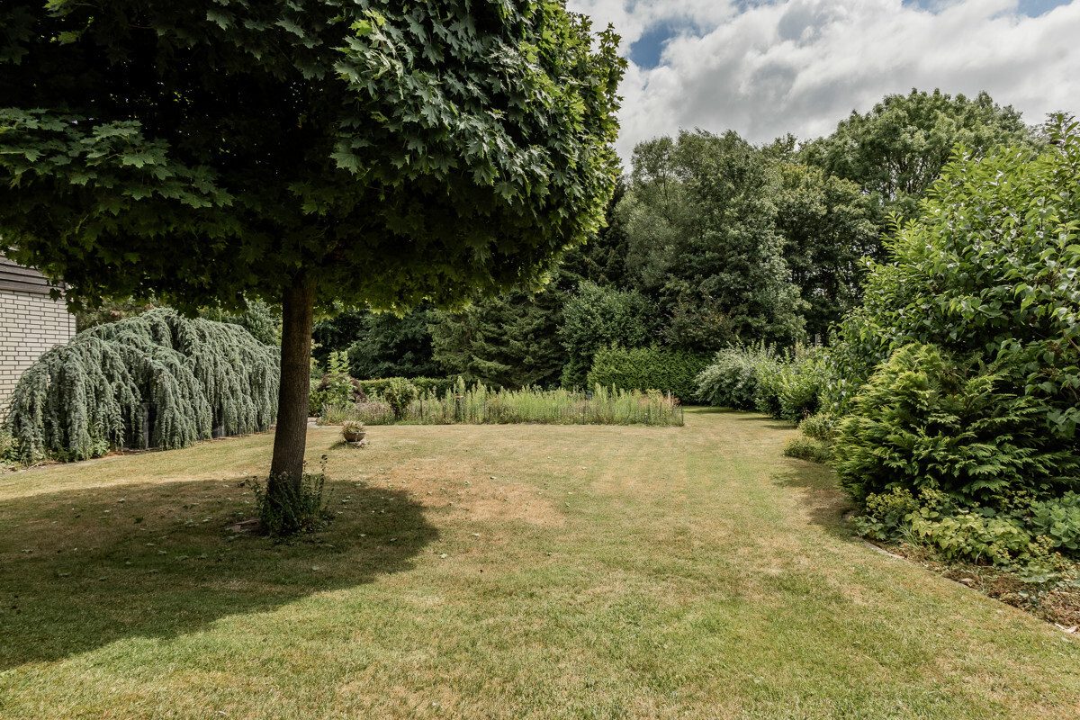 Immobilienangebot - Beckum / Roland - Wohnen & Gewerbe - Mit Eigenleistung preisgünstig ins Eigenheim!