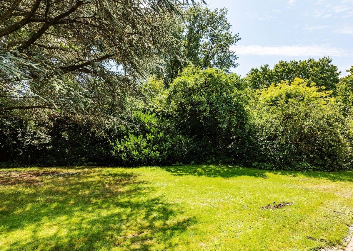 Immobilienangebot - Münster - Wohnen & Gewerbe - Viel Potenzial auf großem Sonnengrundstück!