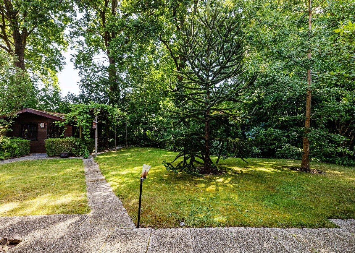 Immobilienangebot - Münster - Wohnen & Gewerbe - Ein Zuhause mit Geschichte, Charme und Raum für die Zukunft!