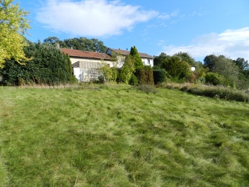 König Immobilien GmbH - Immobilienangebot - Neuental - Einfamilienhaus - Viel Platz in Alleinlage! KEINE KÄUFERPROVISION
