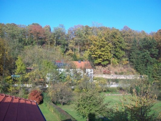 König Immobilien GmbH - Immobilienangebot - Malsfeld - Mehrfamilienhaus - Neuer Preis! Selbst einziehen oder vermieten. Dieses Haus bietet Ihnen viele Möglichkeiten. Keine Käuferprovision!