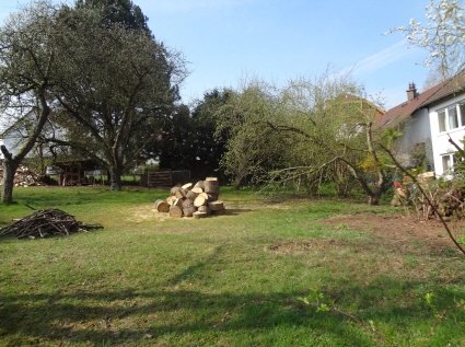 König Immobilien GmbH - Immobilienangebot - Melsungen - Baugrund für Ein- / Zweifamilienhäuser - Stadtnahes Grundstück für Ihr Traumhaus!