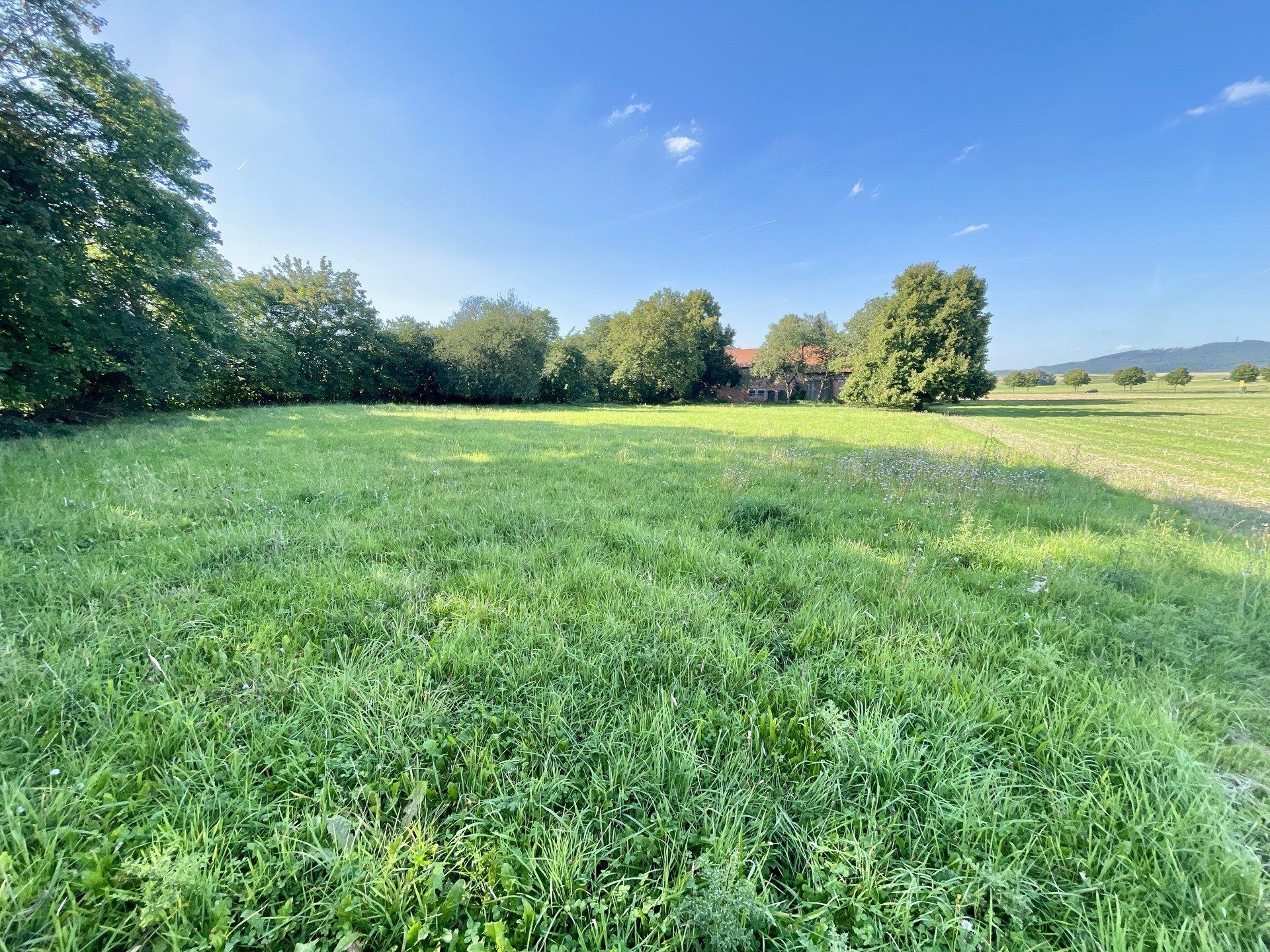 Immobilienangebot - Wolfhagen - Alle - Ihr Traum zum Greifen nahe: Saniertes Anwesen in Alleinlage!
KEINE KÄUFERPROVISION