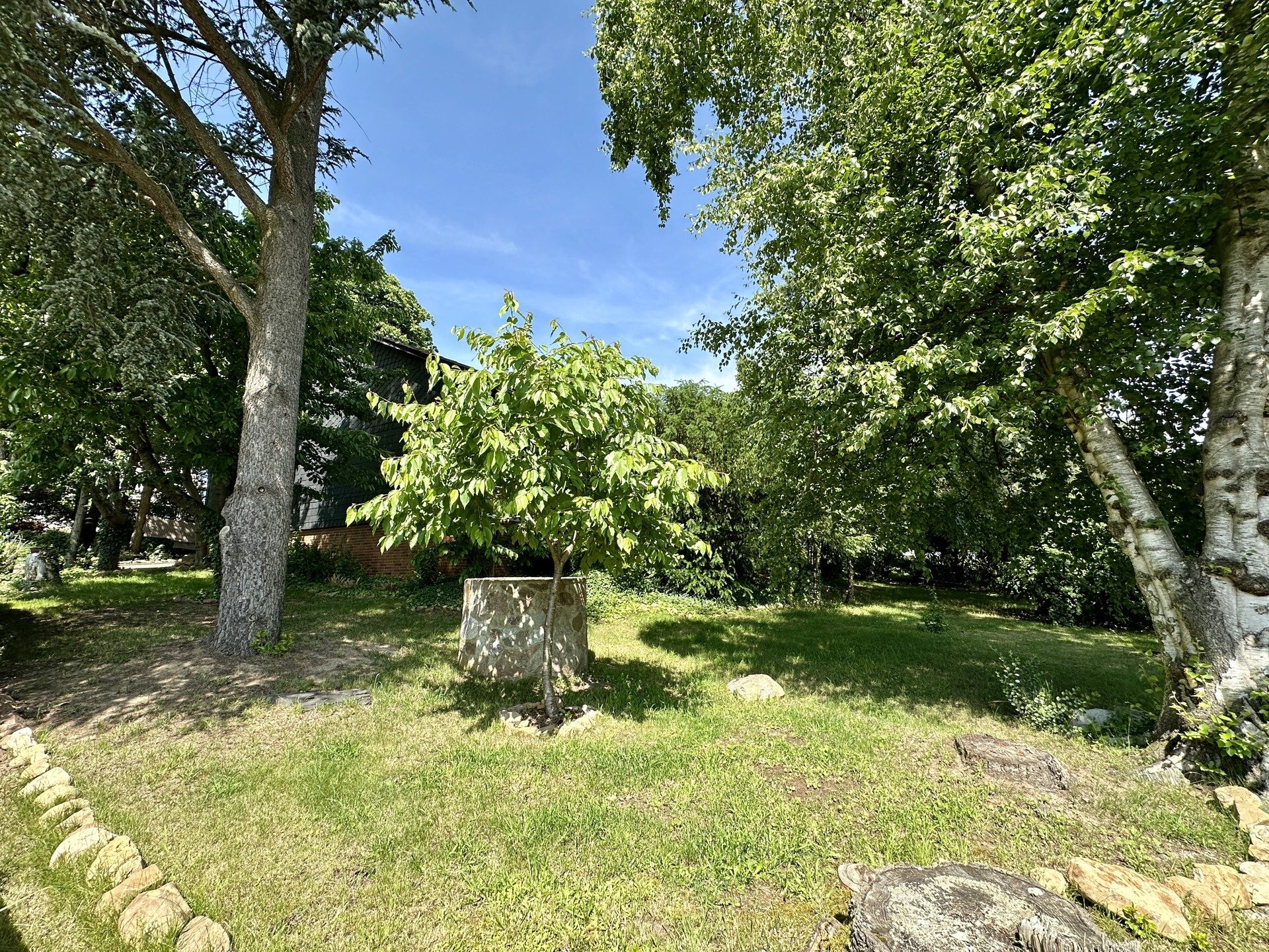 Immobilienangebot - Jesberg - Wohnen - Raum für Ideen - Einfamilienhaus in Jesberg! Keine Käuferprovision!