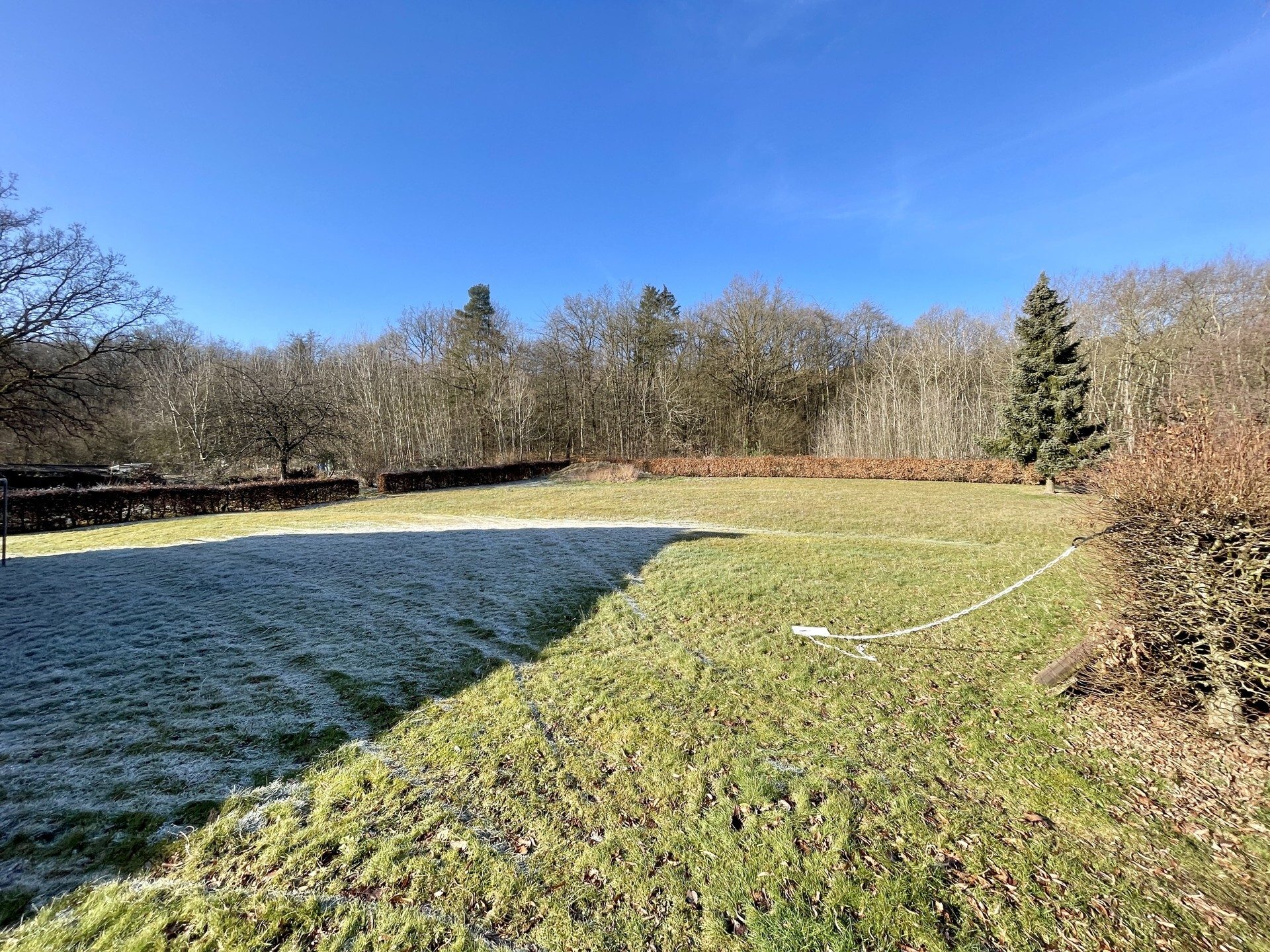 Immobilienangebot - Niedenstein - Alle - Familiennest mit Potenzial und großem Grundstück am Ortsrand! KEINE KÄUFERPROVISION