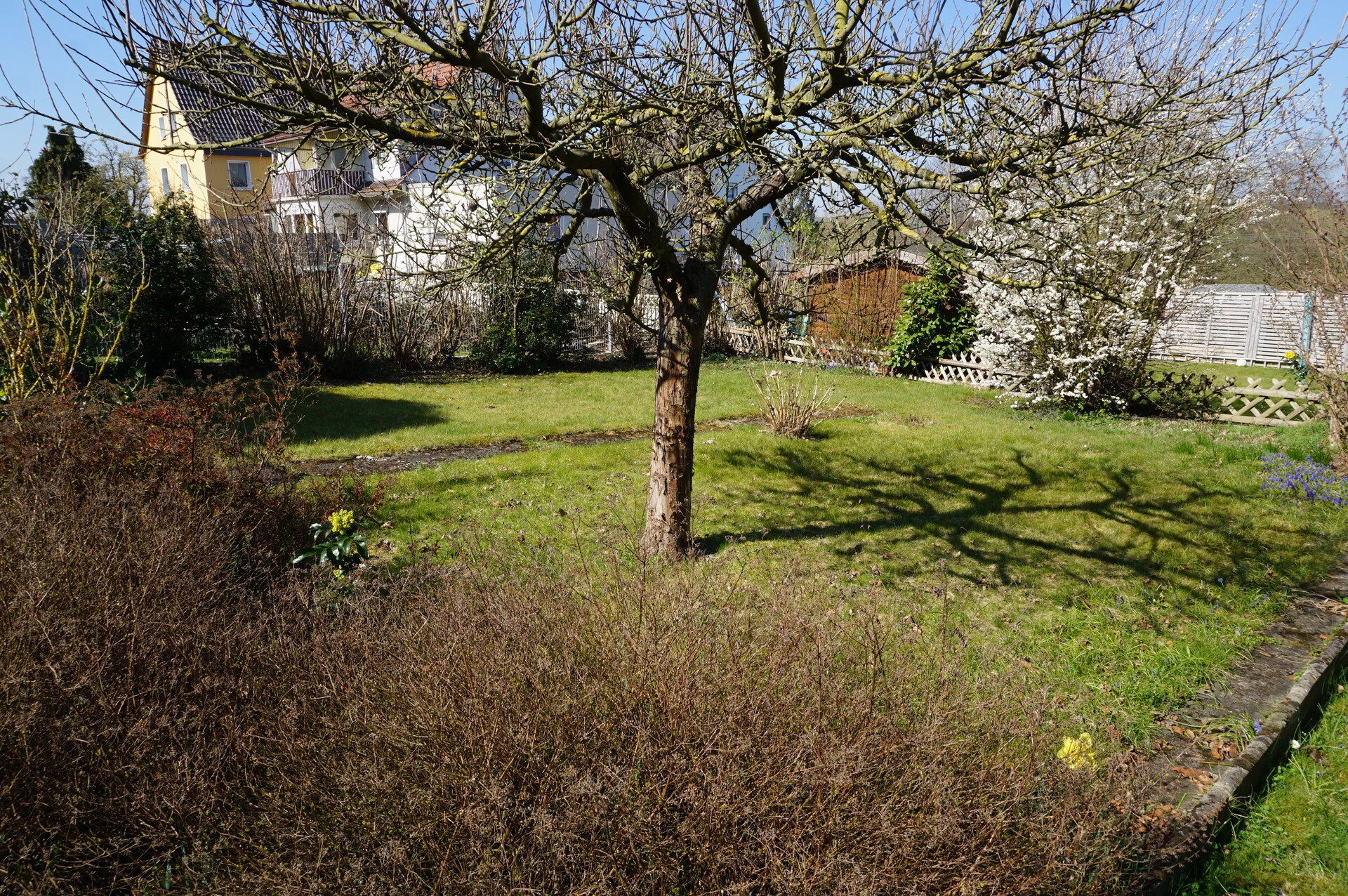 Immobilienangebot - Felsberg - Wohnen - Doppelhaushälfte mit schönem Garten. Keine Käuferprovision!