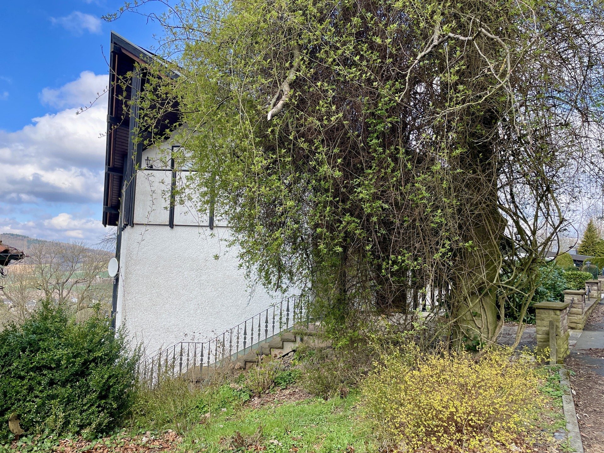 Immobilienangebot - Niedenstein - Wohnen - Außergewöhnliches Anwesen über den Dächern von Niedenstein! KEINE KÄUFERPROVISION