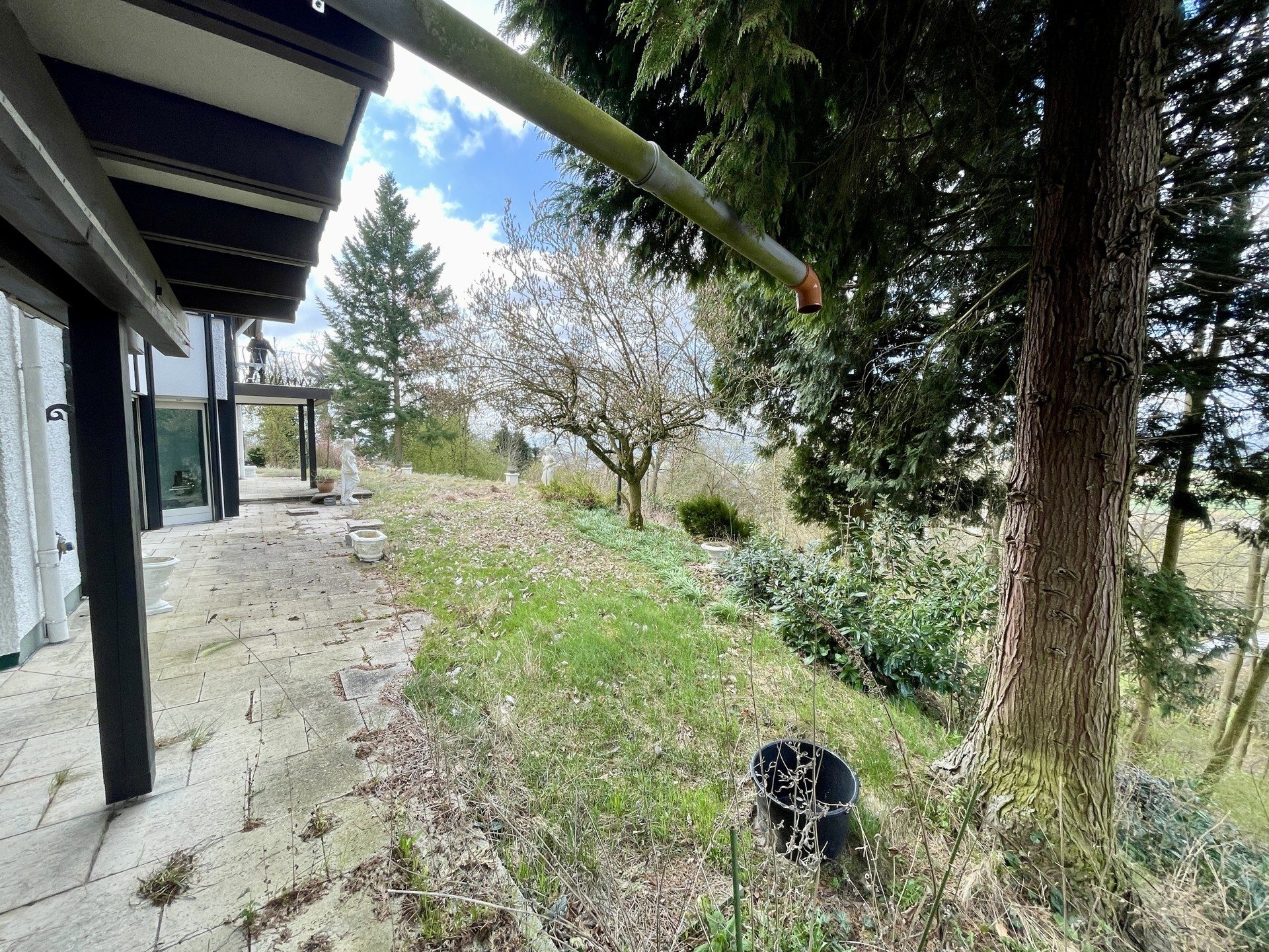 Immobilienangebot - Niedenstein - Wohnen - Außergewöhnliches Anwesen über den Dächern von Niedenstein! KEINE KÄUFERPROVISION