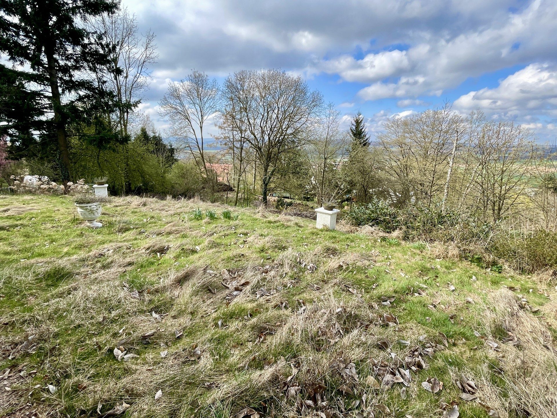 Immobilienangebot - Niedenstein - Wohnen - Außergewöhnliches Anwesen über den Dächern von Niedenstein! KEINE KÄUFERPROVISION
