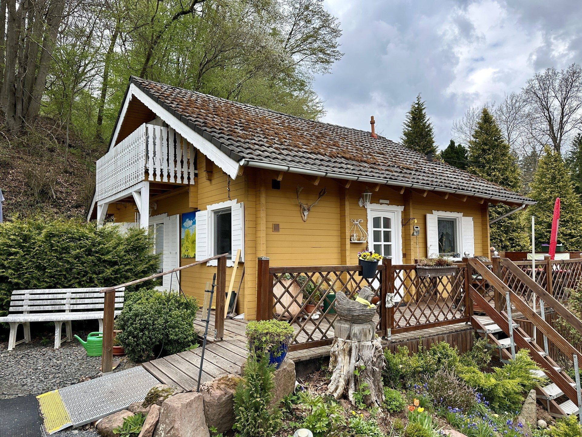 Immobilienangebot - Knüllwald - Wohnen - Wohnen mit Weitblick - Holzhaus in Knüllwald OT! Keine Käuferprovision!