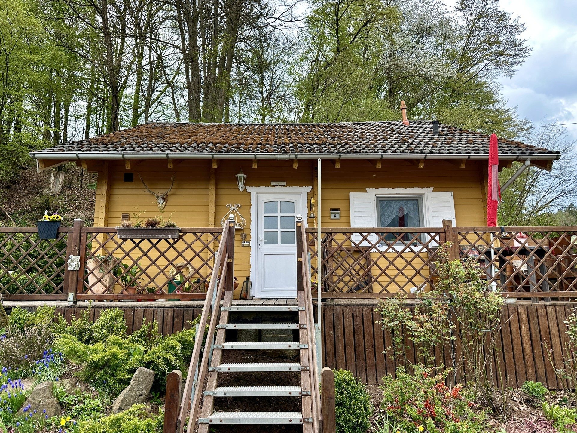 Immobilienangebot - Knüllwald - Wohnen - Wohnen mit Weitblick - Holzhaus in Knüllwald OT! Keine Käuferprovision!