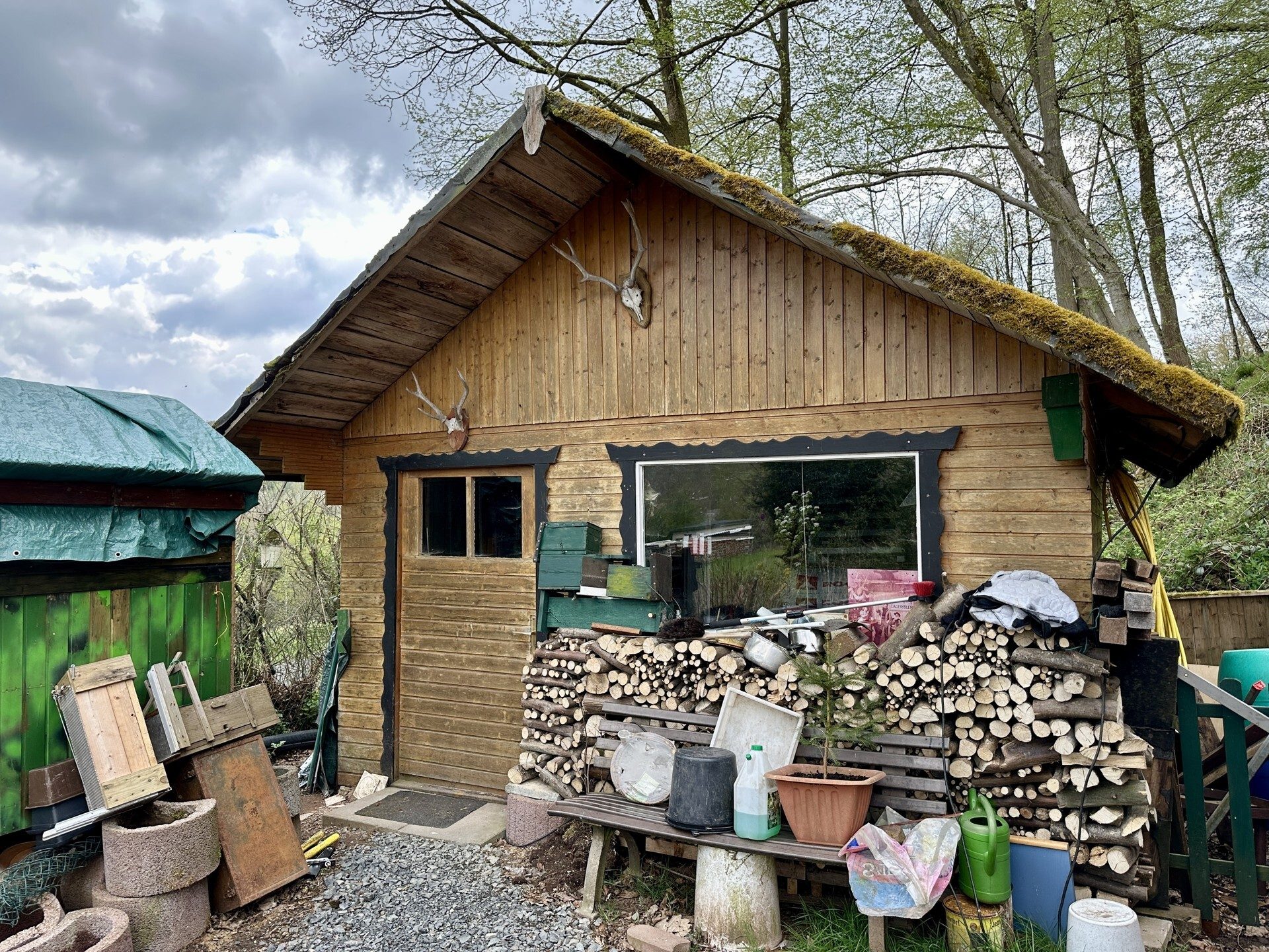 Immobilienangebot - Knüllwald - Wohnen - Wohnen mit Weitblick - Holzhaus in Knüllwald OT! Keine Käuferprovision!