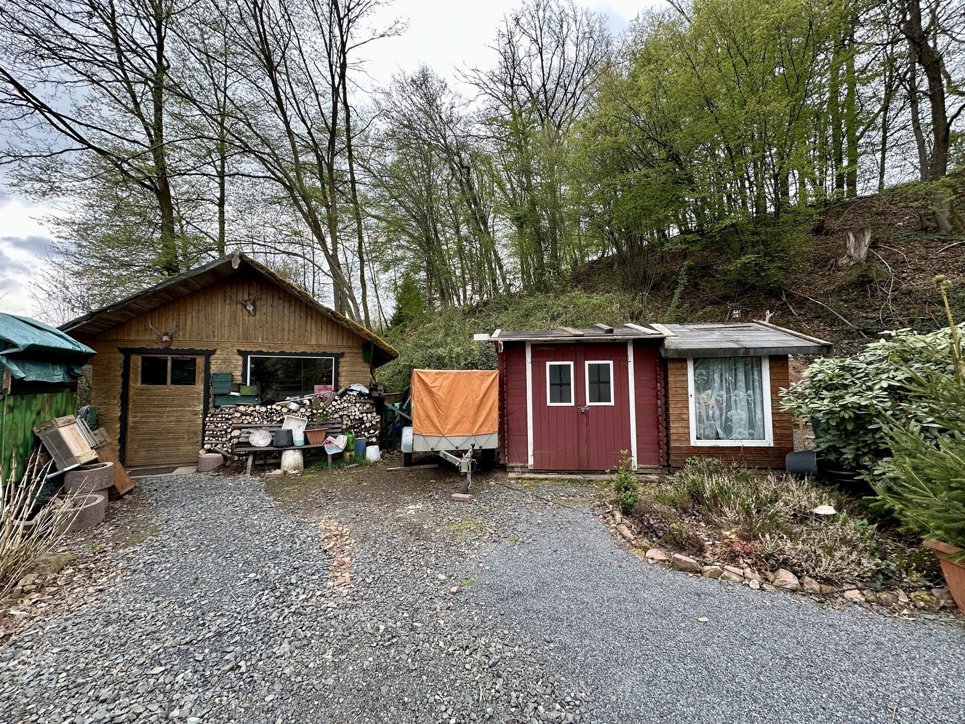 Immobilienangebot - Knüllwald - Wohnen - Wohnen mit Weitblick - Holzhaus in Knüllwald OT! Keine Käuferprovision!