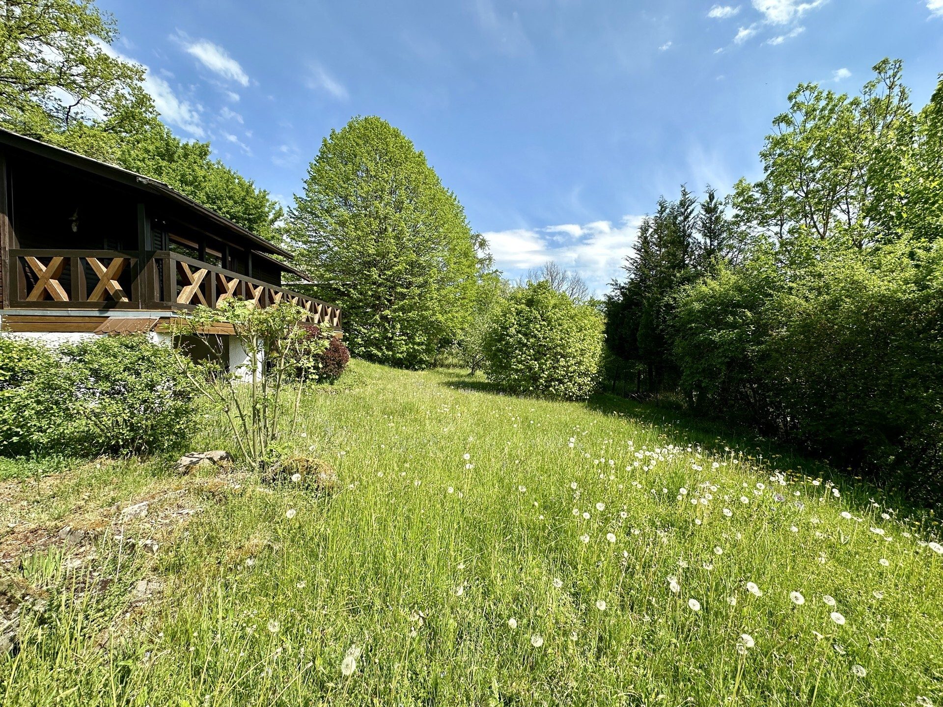 Immobilienangebot - Gemünden - Wohnen - Mitten im Vogelsberger Wald - Ferienhaus in Gemünden (Felda) OT! Keine Käuferprovision!