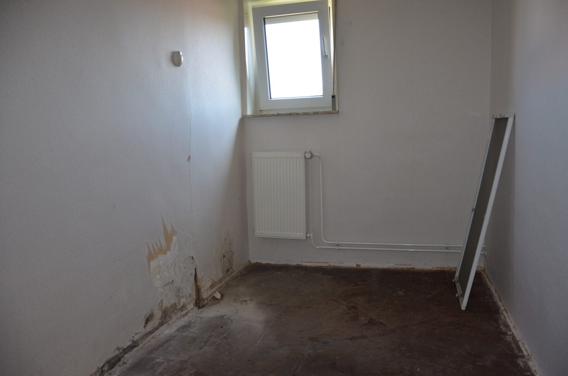 Immobilienangebot - Wabern - Wohnen - Resthof mit Entwicklungspotenzial in ruhiger Lage zu verkaufen! KEINE KÄUFERPROVISION!