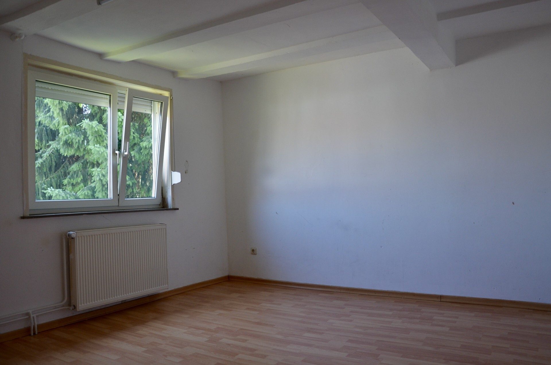 Immobilienangebot - Wabern - Wohnen - Resthof mit Entwicklungspotenzial in ruhiger Lage zu verkaufen! KEINE KÄUFERPROVISION!