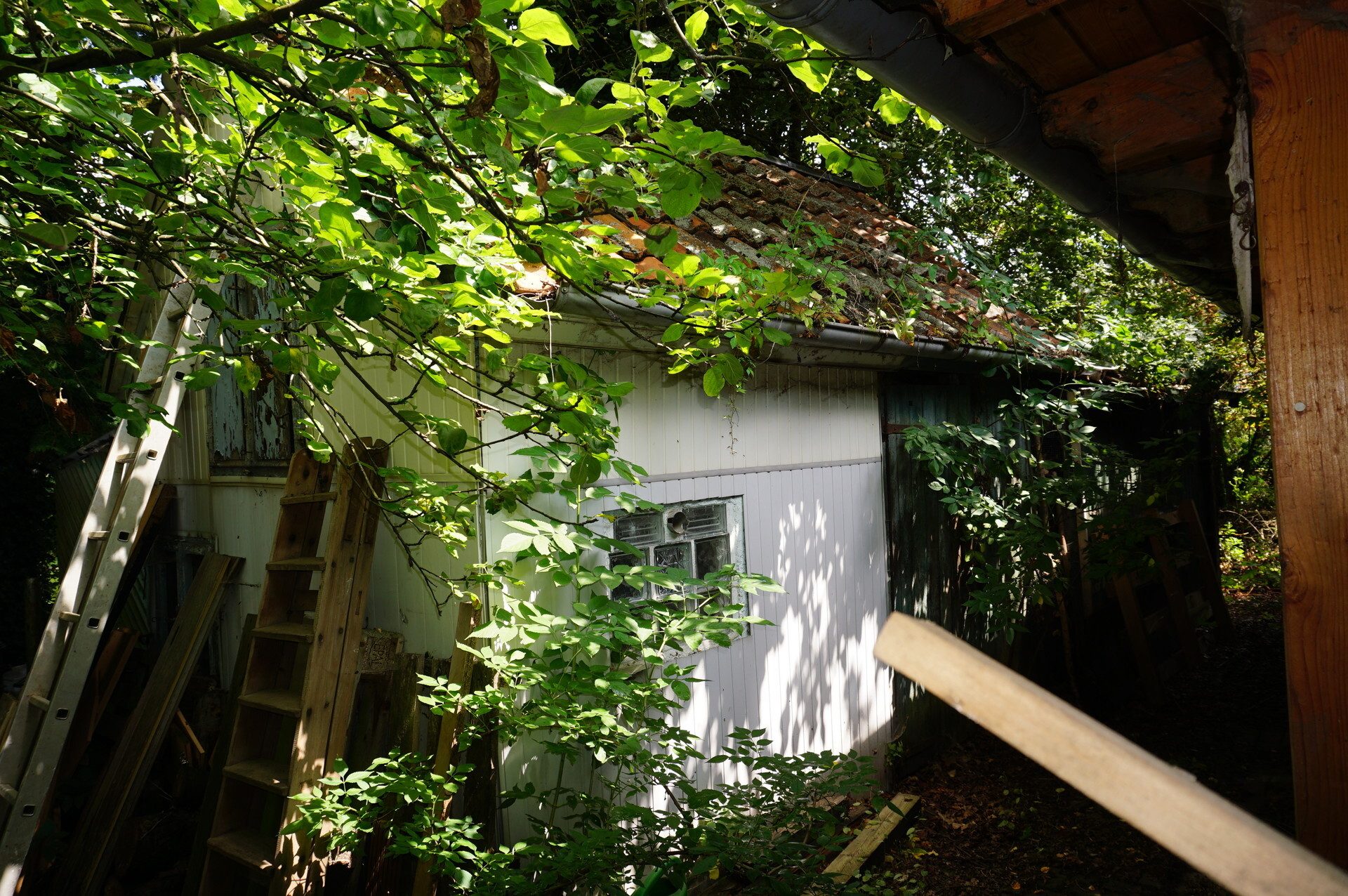 Immobilienangebot - Spangenberg - Wohnen - Renovierungsbedürftiges Haus sucht Handwerker. Keine Käuferprovision!