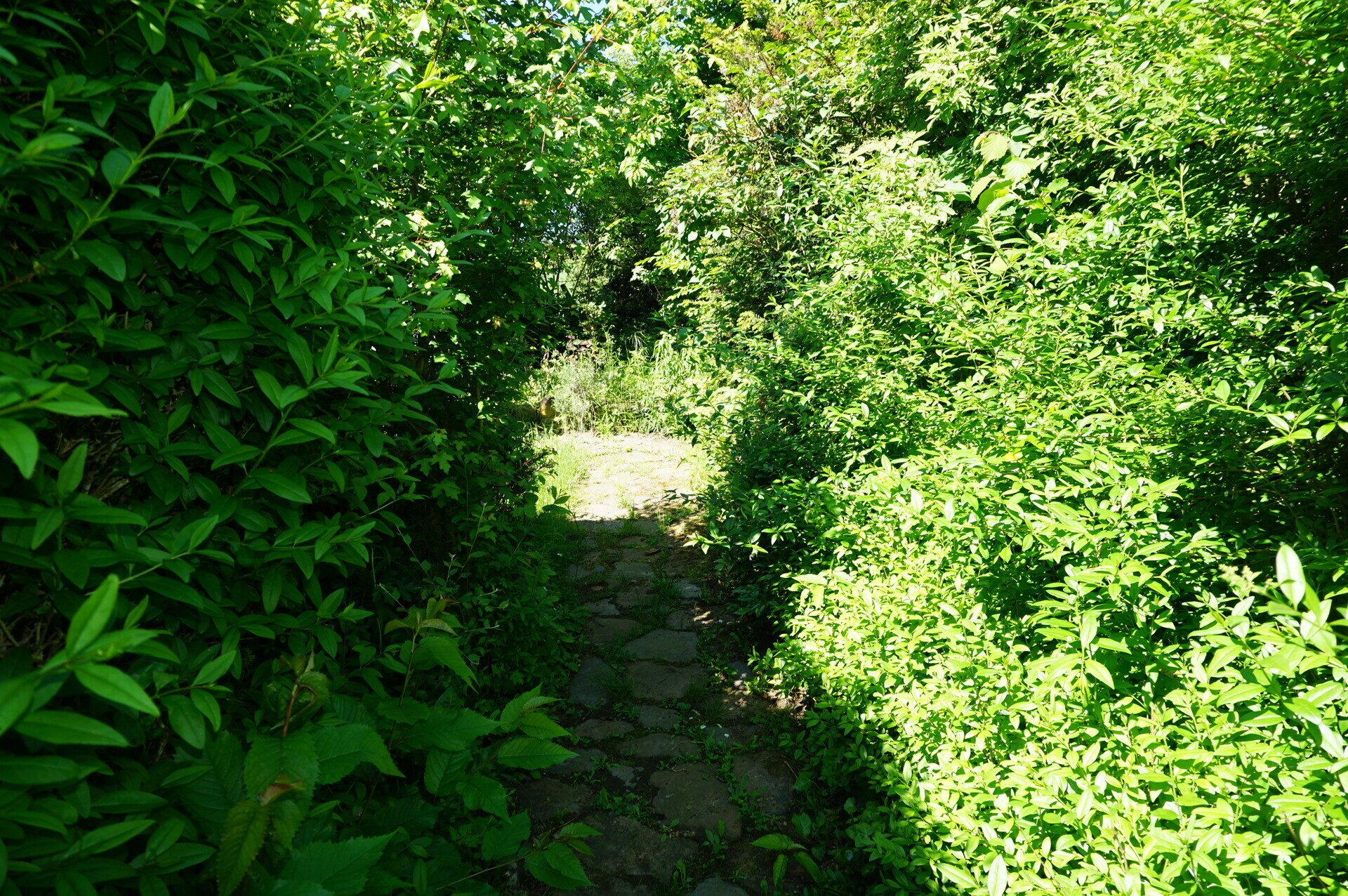 Immobilienangebot - Felsberg / Neuenbrunslar - Wohnen - Für alle, die Privatsphäre und Naturnähe suchen. Keine Käuferprovision!
