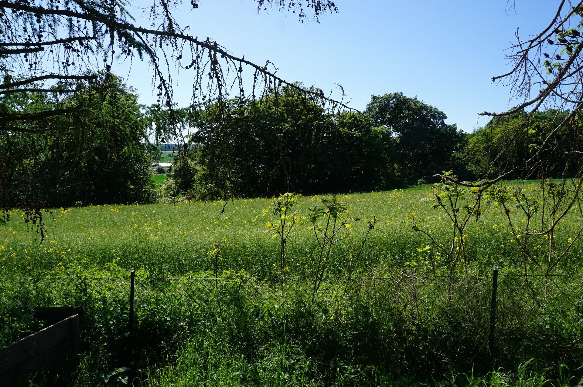 Immobilienangebot - Felsberg / Neuenbrunslar - Wohnen - Für alle, die Privatsphäre und Naturnähe suchen. Keine Käuferprovision!