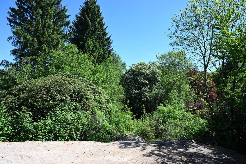 Immobilienangebot - Bochum - Alle - Ihre 4 Wände im Bau - bald ins Grüne schauen, Rohbau steht