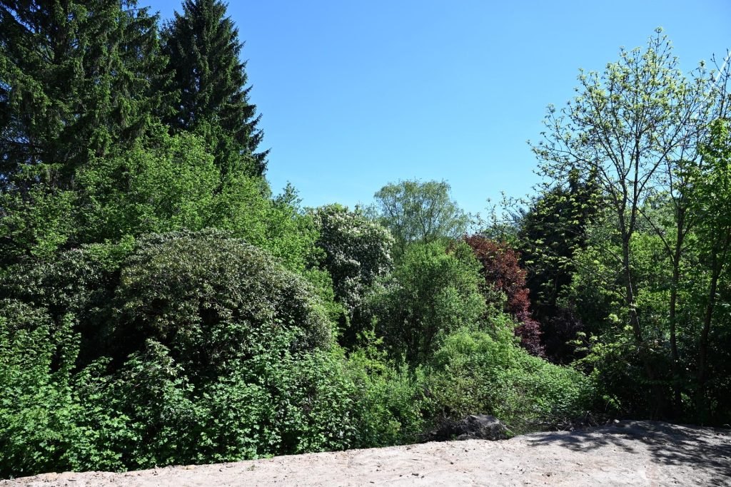 Immobilienangebot - Bochum - Alle - Ihre 4 Wände im Bau - bald ins Grüne schauen, Rohbau steht