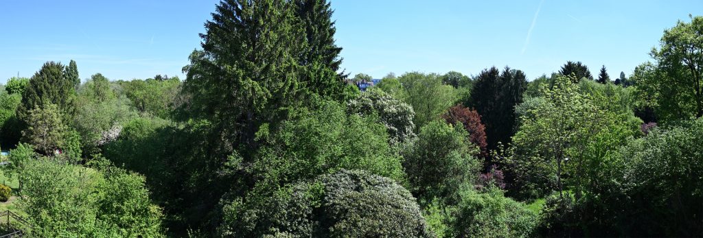 Immobilienangebot - Bochum - Alle - Komfort in allen Lebensphasen - Innenausbau läuft