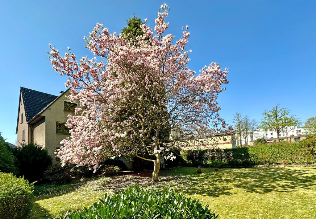 Immobilienangebot - Bochum - Alle - Familienglück mit großem Garten
in Linden / Dahlhausen