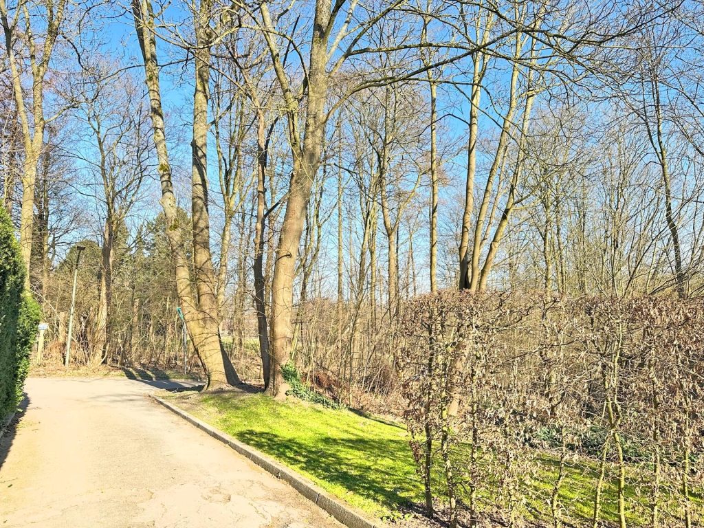 Immobilienangebot - Bochum - Alle - Freistehendes Wohnglück direkt am Südpark 
in Höntrop