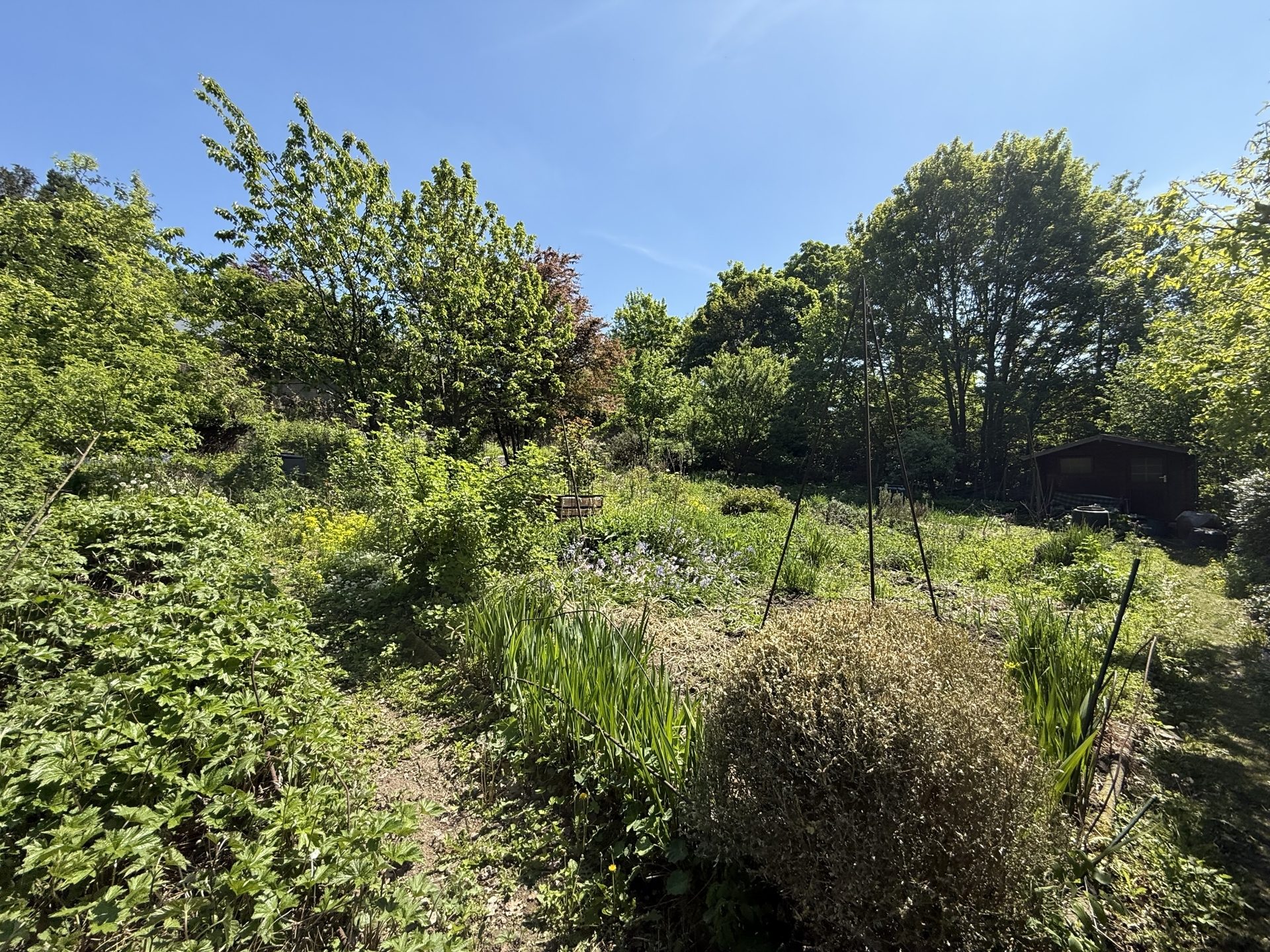 Immobilienangebot - Bochum - Grundstücke - Wohnen mit Weitblick – Projektgrundstück 
in Dahlhausen