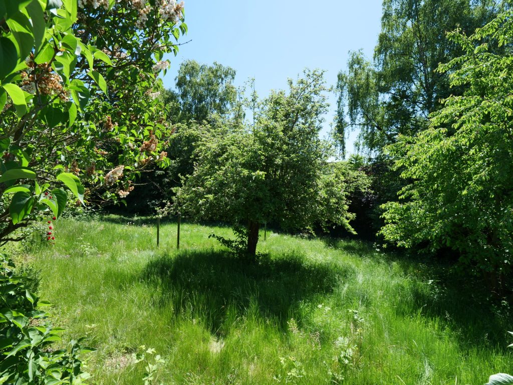 Immobilienangebot - Bochum - Grundstücke - Bauen leicht gemacht in guter Lage 
von Riemke